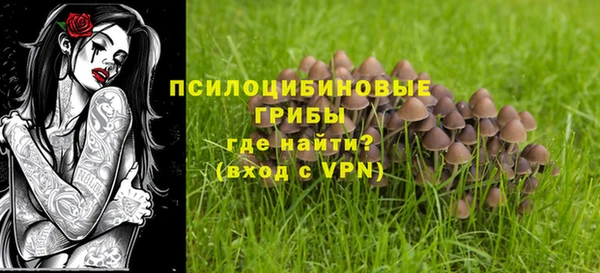 стафф Алзамай