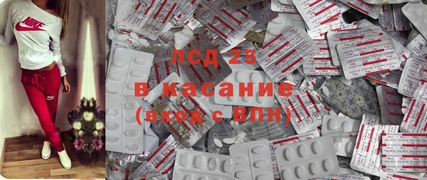 стафф Алзамай