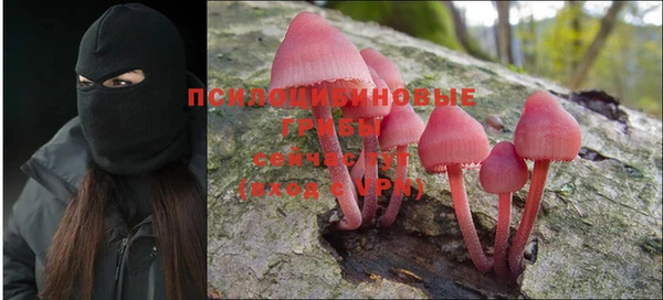первитин Алексин