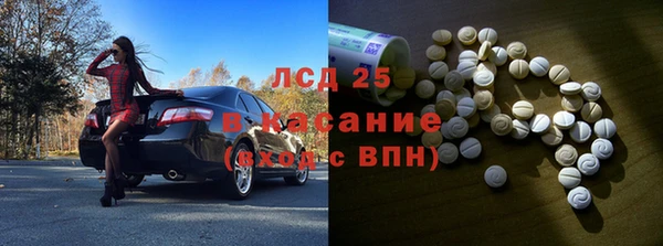 стафф Алзамай