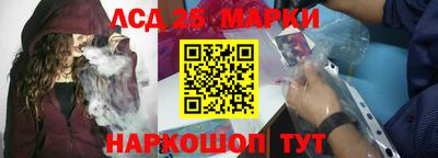 гашик Донецк