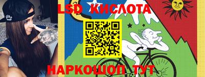 гашик Донецк