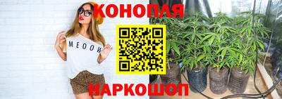 гашик Донецк